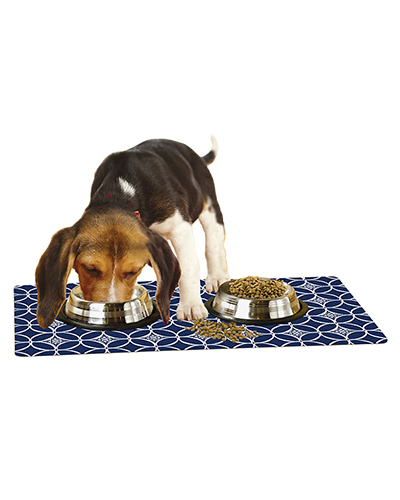 dog food bowl placemats