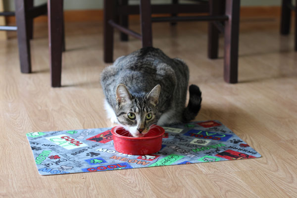 cat food placemat