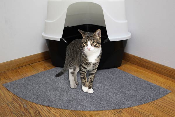 small cat litter mat